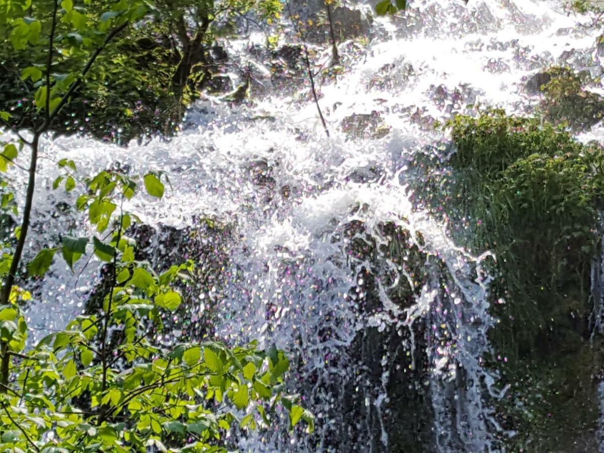 Haus Eisele Διαμέρισμα Bad Urach Εξωτερικό φωτογραφία